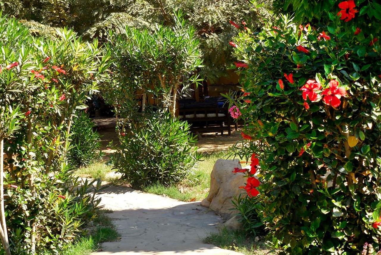 Hotel Sheherazade Luxor Bagian luar foto